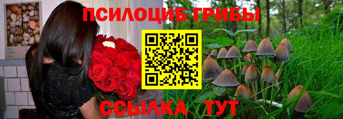 Псилоцибиновые грибы мицелий  Вход с VPN  Артём 